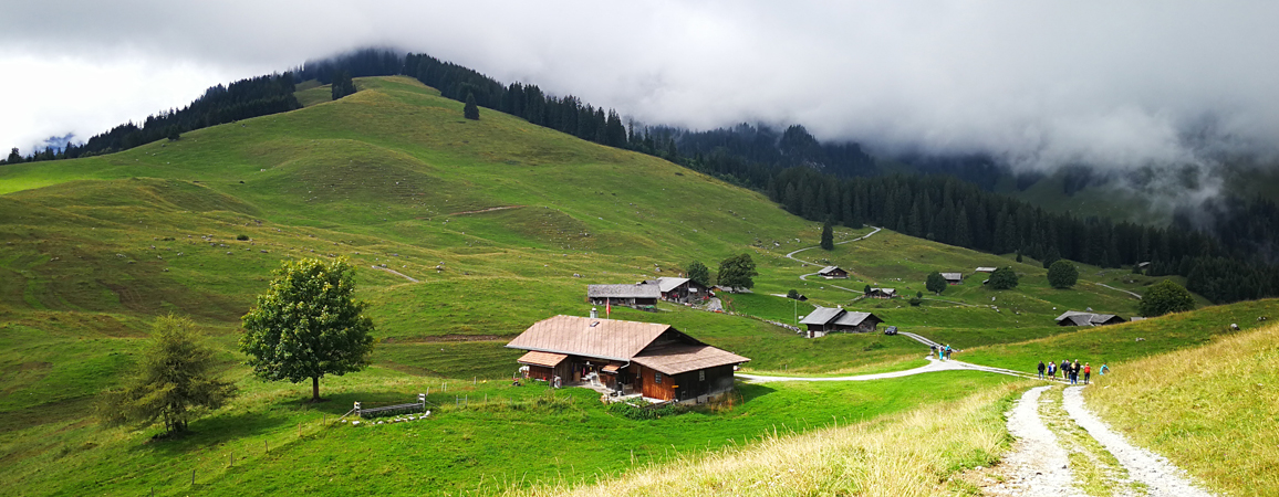 Alpkäsewanderung Tschuggen