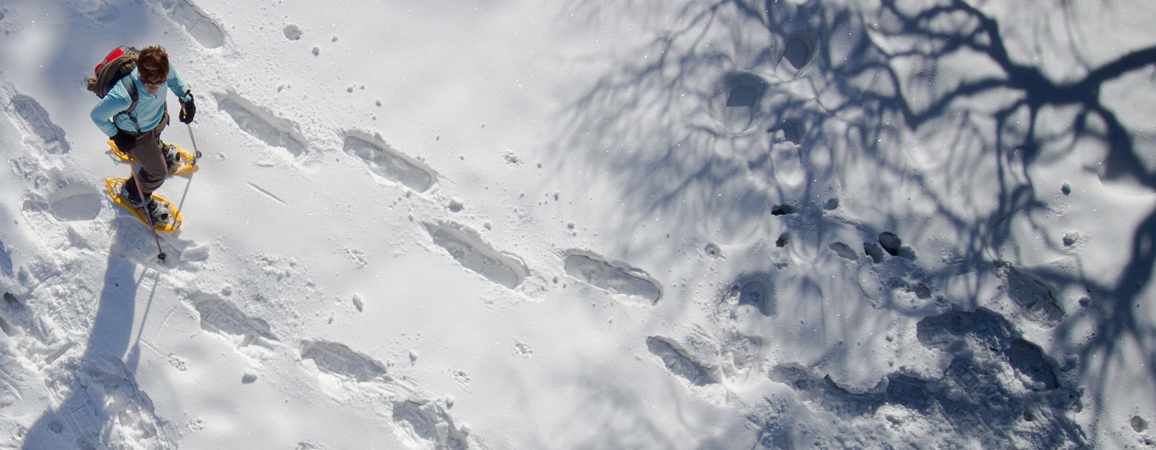 Geführte Schneeschuhwanderungen