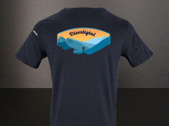 T-Shirt Diemtigtal Herren (nah, wild, wertvoll) 1